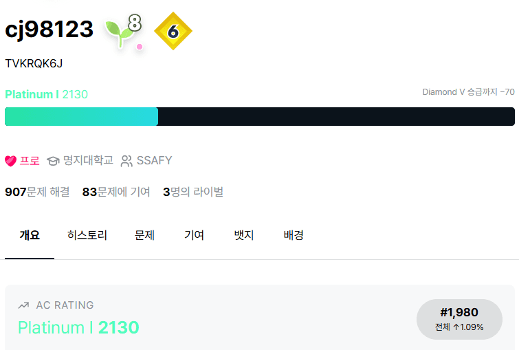 백준 Solved.ac Platinum 1 달성